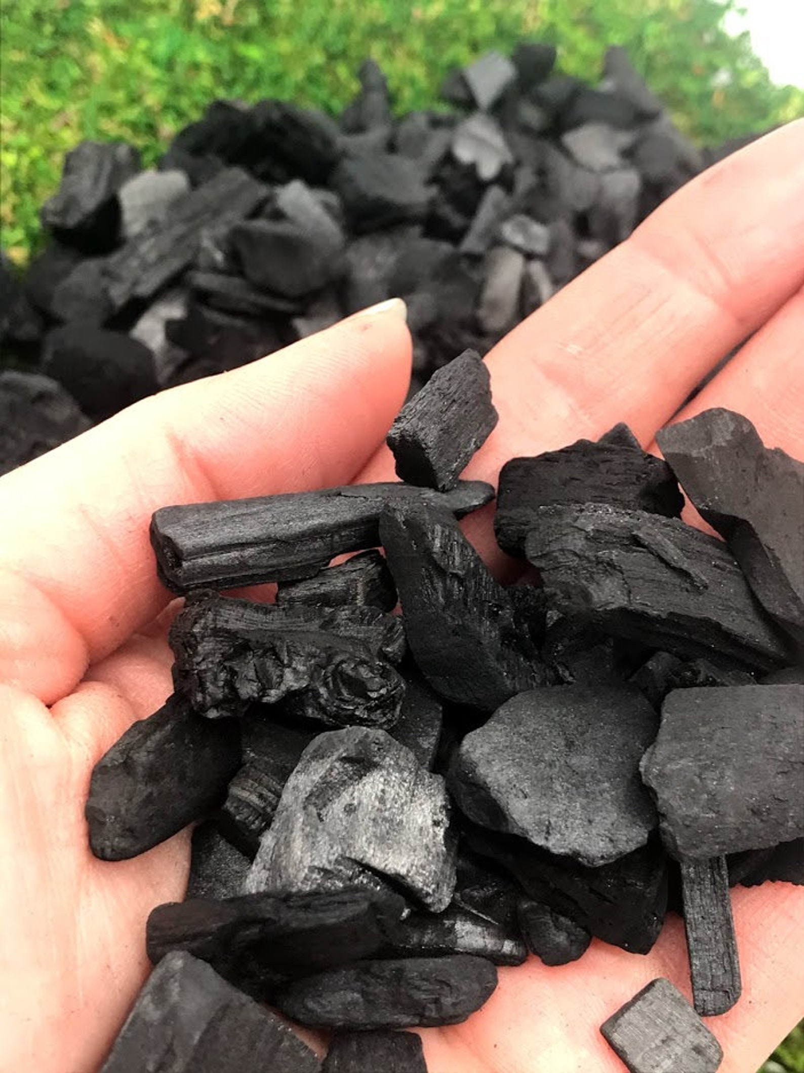 Horticultural Activated Charcoal for Planter Pot Drainage Etsy