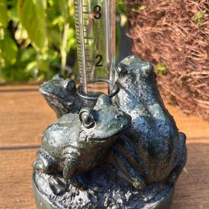 Op de afbeelding: Een donkergroene kikkerregenmeter met drie kikkerbeeldjes. De meter heeft een doorzichtige buis met meetmarkeringen. De regenmeter meet tot 7,6 cm regenval.