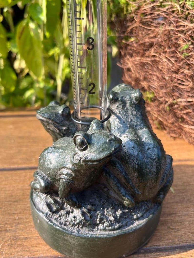 Op de afbeelding: Een donkergroene kikkerregenmeter met drie kikkerbeeldjes. De meter heeft een doorzichtige buis met meetmarkeringen. De regenmeter meet tot 7,6 cm regenval.