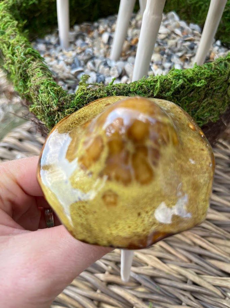 K&ouml;nnte beinhalten: Ein glasierter Keramikpilz in Gelb- und Braunt&ouml;nen, befestigt an einem wei&szlig;en Stiel. Der Hintergrund zeigt einen geflochtenen Korb, gr&uuml;nes Moos und kleine wei&szlig;e St&auml;bchen.