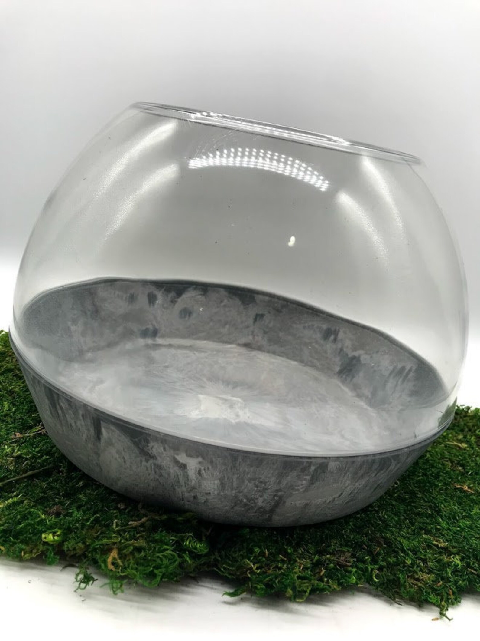 Large 10 Dome Terrarium for Succulents Air Plants Etsy