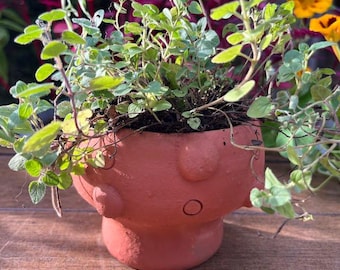 Mushroom Terracotta Pottery Planter for small plants or succulents - Garden Pot
