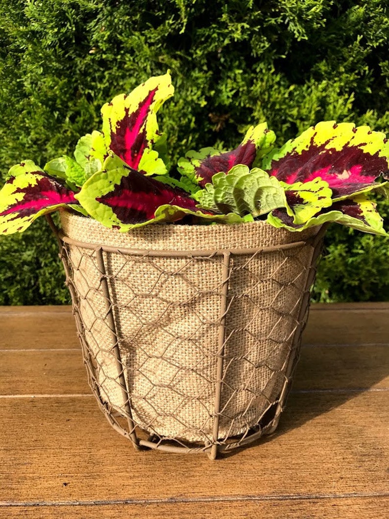 Bushel Basket Planters Farmhouse Burlap & Wire Rustic Bushel Etsy