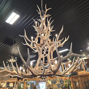 Elk Antler Floral Chandelier - Genuine - Free Shipping!