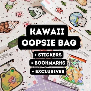 Sac Oopsie, sac de la deuxième chance petit budget, sac oopsie marque-page, sac oopsie kawaii, objets mystères, sac oopsie aléatoire