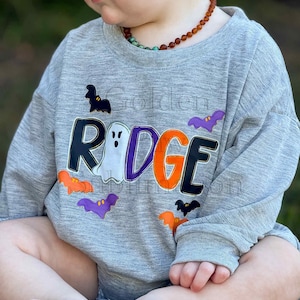 May include: A gray long-sleeved sweatshirt with the name "RIDGE" in black, orange, and purple letters. The letter "O" is a ghost. The sweatshirt is decorated with bat appliques in black, orange, and purple.