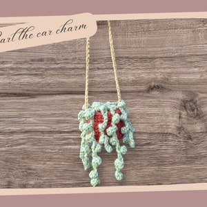Peut inclure: Une plante suspendue en crochet avec des feuilles vertes et un pot rouge. La plante est étiquetée "Pearl the car charm".