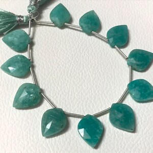 May include: Strand of teal-colored gemstone beads, each shaped like a leaf. The beads are strung on a thin, silver-colored wire. A tassel of teal thread is visible at the top. The beads have a faceted surface.