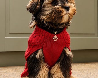 Puede incluir: Un perro pequeño de pelaje largo oscuro y tostado lleva un suéter de punto rojo brillante con un patrón de trenzas. El perro tiene un collar de tono dorado con un pequeño dije colgante en forma de huella con piedras transparentes.