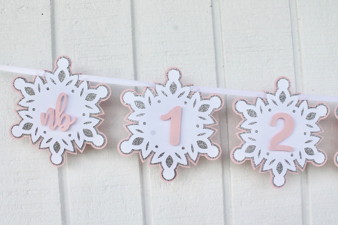 Winter Onederland Photo Banner Winter Onederland Monthly | Etsy