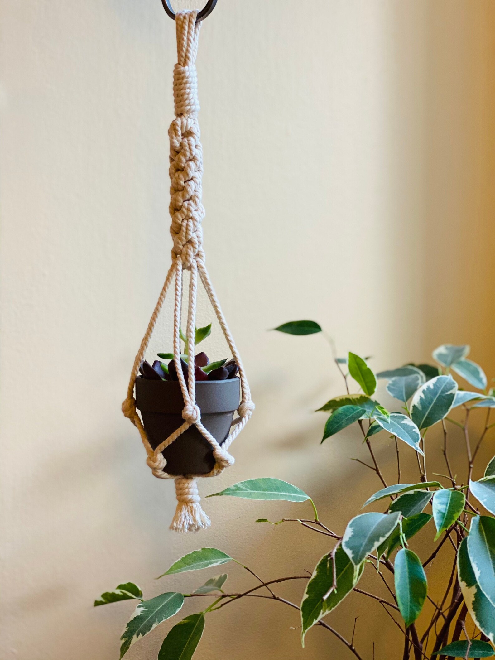 Mini Plant Holder Macrame Plant Hanger Rearview Decor Succulent Hanger