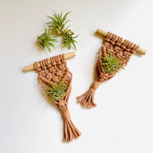 Macrame Air Plant Holders | Air Plant Hangers | Set of 2