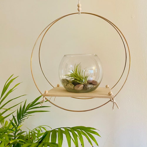 Modern Hanging Plant Shelf