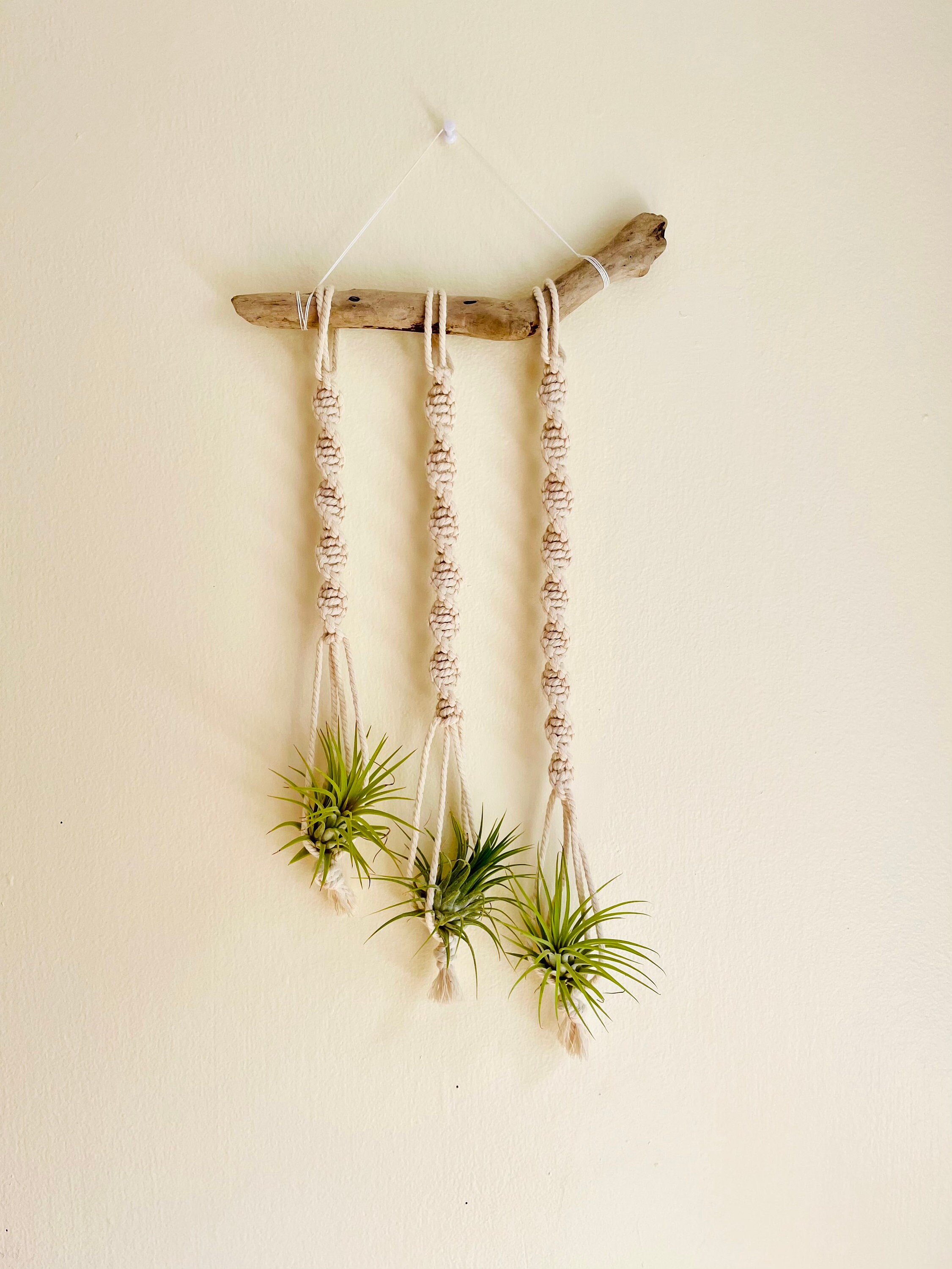 Percha de planta de madera a la deriva / Macrame / Pared de | Etsy