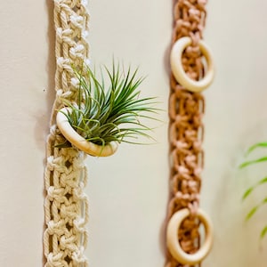 Boho Air Plant Holder | Macrame Air Plant Holder | Modern Plant Hanger