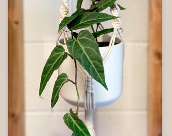 Percha de planta Macrame / Plantadora texturizada / Soporte de planta moderna / Percha de planta Boho