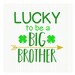 see more listings in the St Patrick's Day section