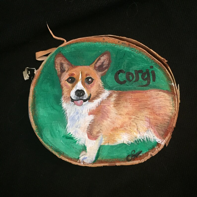 Jasmine Welsh Corgi (Pembroke) Puppy for Sale in Jasmine Welsh Corgi (Pembroke) Puppy for Sale in