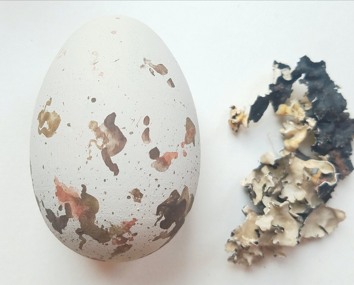 Wooden Red Tailed Hawk Egg for Science Education Wooden Eggs Etsy