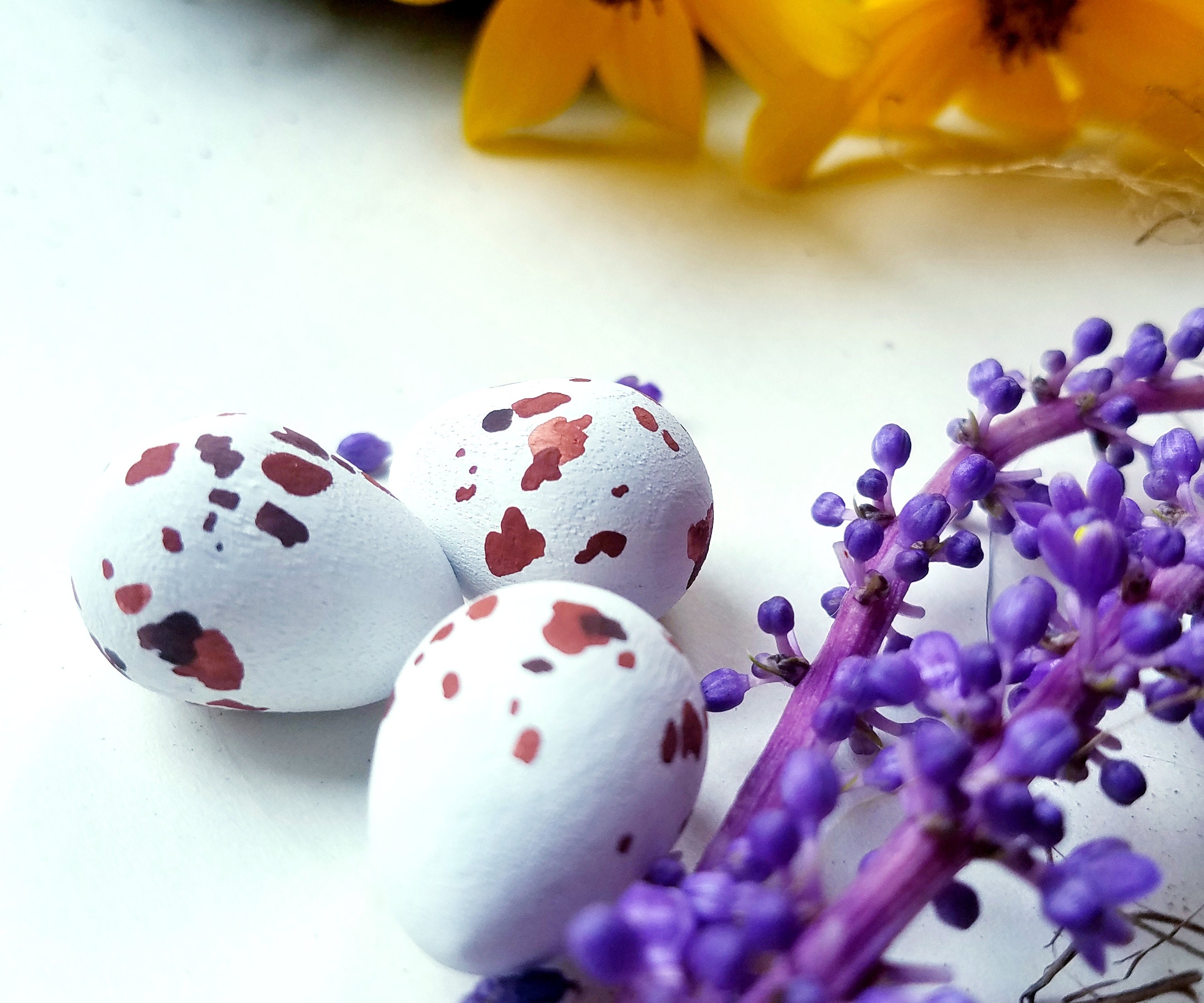 Wooden Scissor Tail Flycatcher Eggs for Science Education Etsy