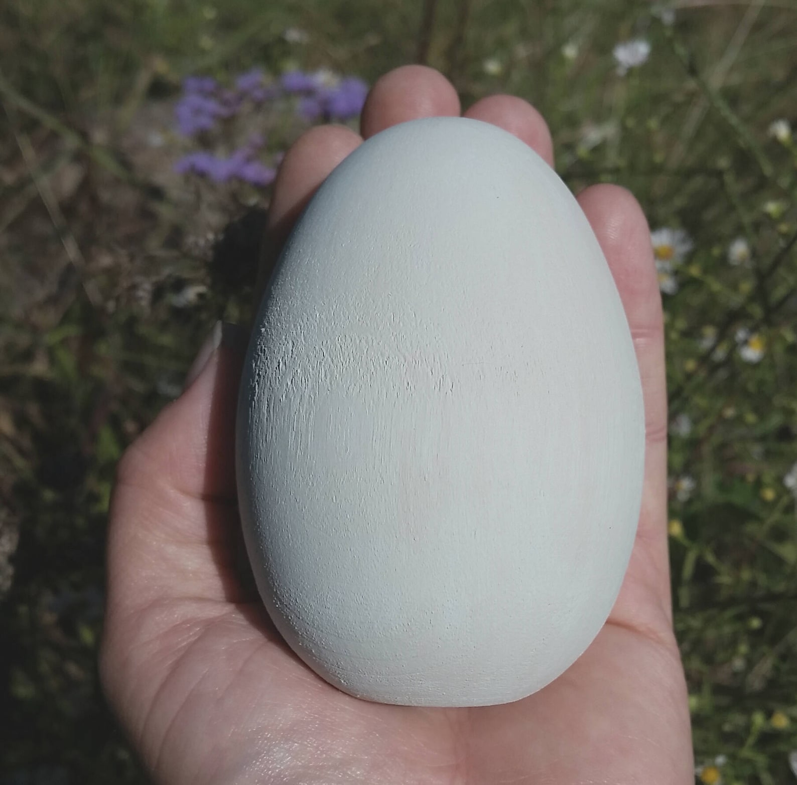 Bald Eagle Egg for Science Education Extra Large Wooden Eagle - Etsy