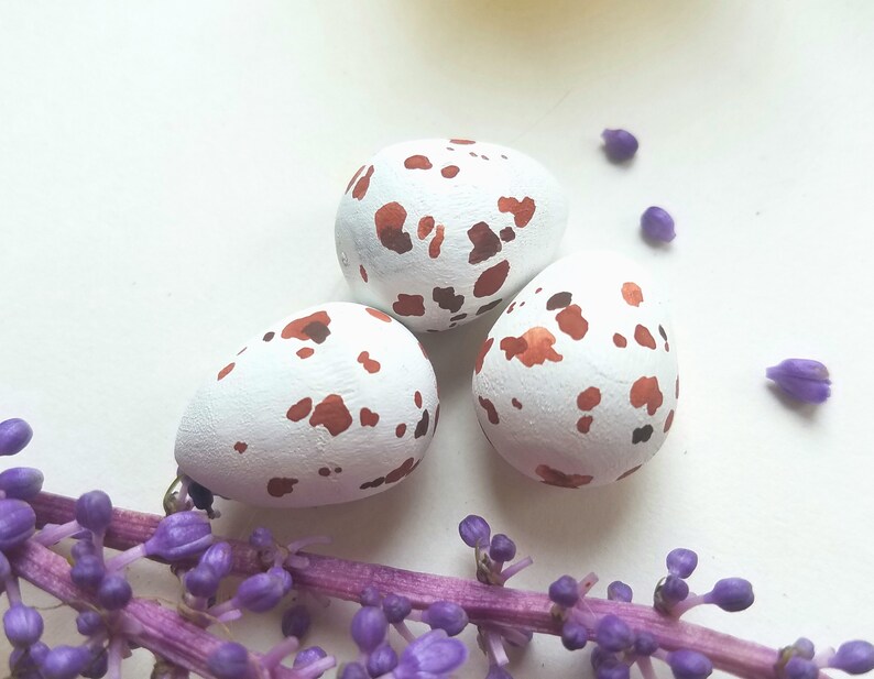 Wooden Scissor Tail Flycatcher Eggs for Science Education Etsy