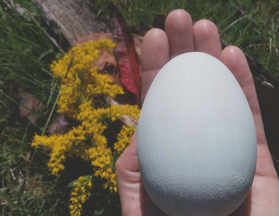 Bald Eagle Egg for Science Education Extra Large Wooden Eagle - Etsy UK