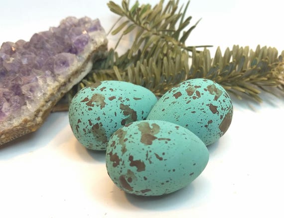 Wooden Blue Jay Eggs For Science Education Natural History Etsy