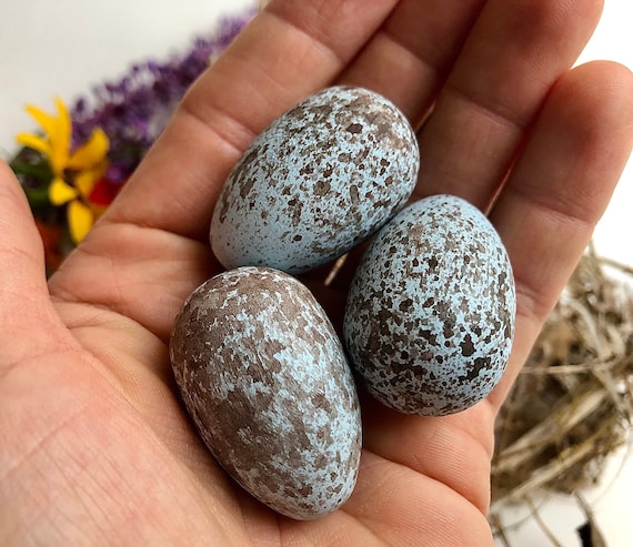 Wooden Magpie Eggs for Science Education, Natural History, Nature Display,  Bird Study and Nature Table. Bird Egg Curiosities - Etsy Denmark