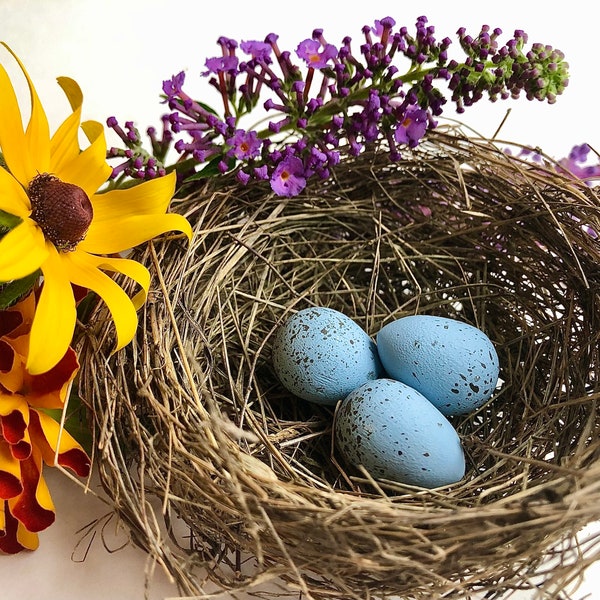 Wooden Replica Dark Eyed Junco Egg for Science Education, Natural History, Nature Display, Bird Study and Nature Table. Bird Egg Curiosities