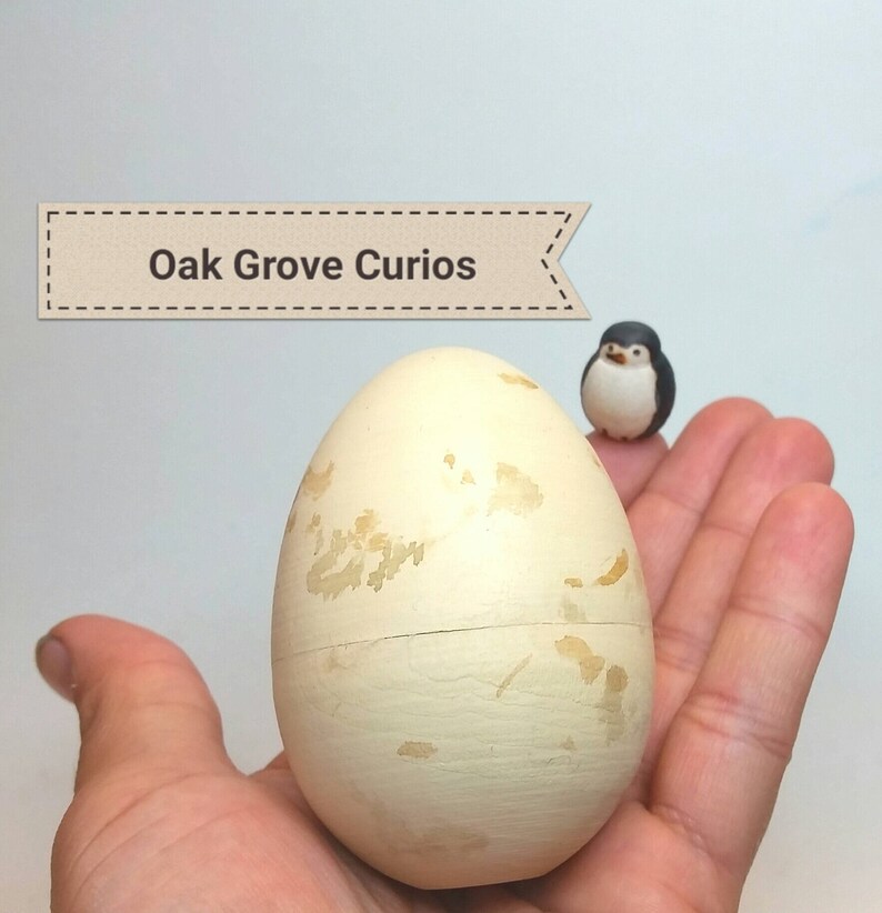 Great Blue Heron Egg for Science Education Natural History Etsy