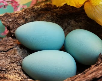 Réaliste Robins Oeufs En Bois, Science, Exposition de la Nature, Étude des oiseaux, Table de la Nature, Curiosités d’Oeufs d’Oiseaux, Robins Oeuf Bleu Décor Rustique