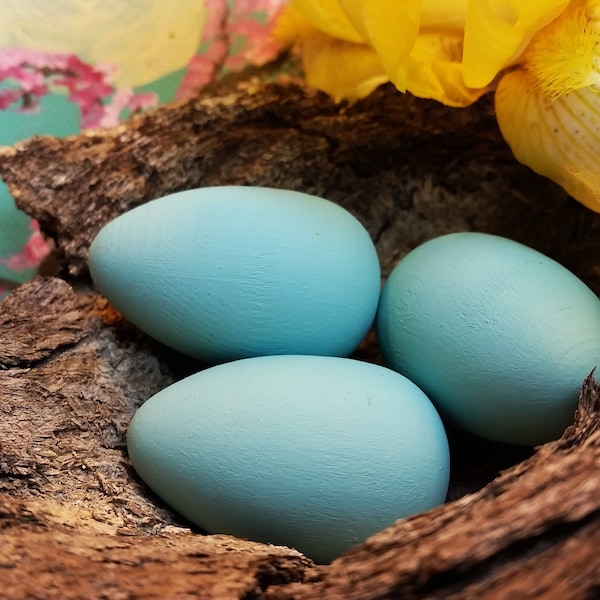 Realistische Rotkehlchen Eier Holz, Wissenschaft, Natur Display, Vogelstudie, Natur Tisch, Vogel Ei Kuriositäten, Rotkehlchen Ei blau Rustikal Dekor