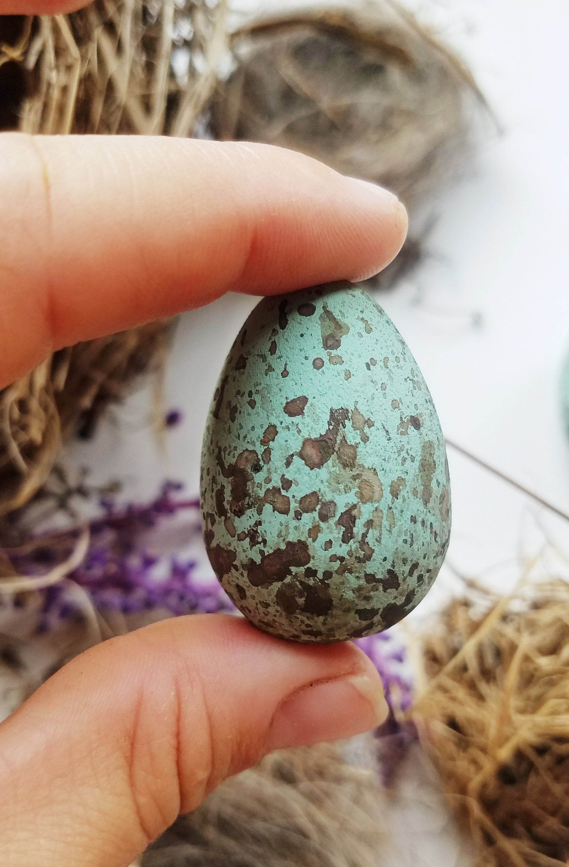 Raven Egg