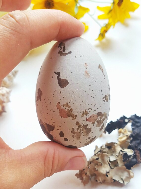 Wooden Red Tailed Hawk Egg for Science Education Wooden Eggs Etsy