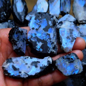 Op de afbeelding: Een verzameling ruwe, iriserende maansteenkristallen met een zwarte matrix. De kristallen hebben een blauwe en witte glans.