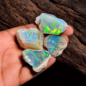 Peut inclure: Quatre pierres d'opale brutes aux couleurs irisées vibrantes de vert, de bleu et de rouge. Les opales sont tenues dans une main, mettant en valeur leur texture brute et naturelle et leurs motifs uniques. Le fond est un bois sombre et texturé.