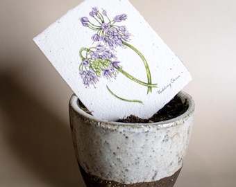 Plantable Botanical Greeting Cards: Hand-Illustrated Seed Paper Cards