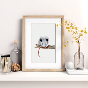 5x7 | 8x10 | Giclée Print of Opossum  | Wildlife Wall Art | Opossum Wall Decor | Nursery Decor