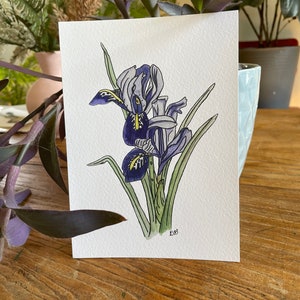 5x7 | 8x10 Giclée Print of Watercolor Iris | Botanical Print | Floral Wall Art