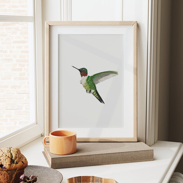 5x7 | 8x10| Giclée Print of Hummingbird | Ruby-Throated Hummingbird | Hummingbird Artwork | Watercolor Hummingbird Artwork | Audubon Gifts