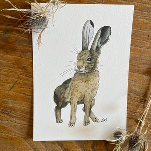 5x7 | 8x10  | Giclée Print of Hare | Spring Decor | Nursery Artwork