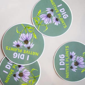 May include: Four round stickers with a green background and the text "I DIG NATIVE PLANTS" in white and green. Each sticker features a watercolor illustration of purple coneflowers with green stems and leaves.