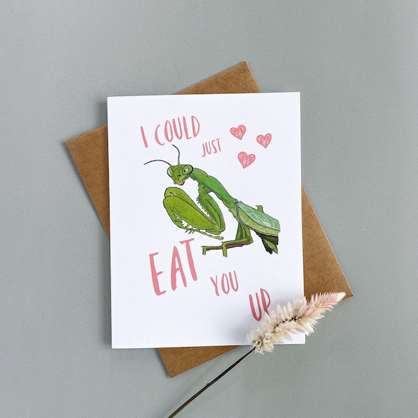 Funny “I Could Just Eat You Up” Valentine’s Day Card | Praying Mantis Card | Valentine’s Day Cards for Friends | Funny Valentine’s Day Card