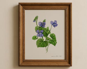 Violet Botanical Print: Original Watercolor Illustration of Illinois State Flower