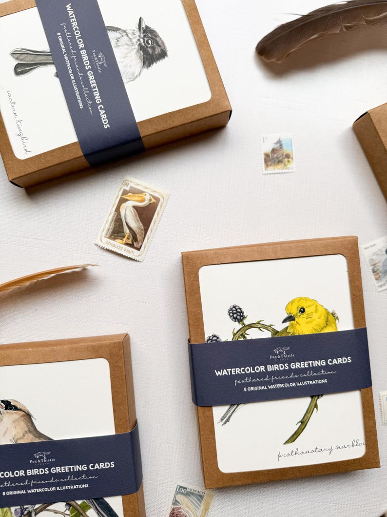 Boxed Bird Greeting Card Set: Watercolor Bird Cards - Etsy