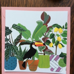 Carte postale " Toucan"