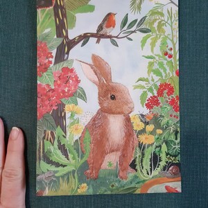 Lapin du jardin