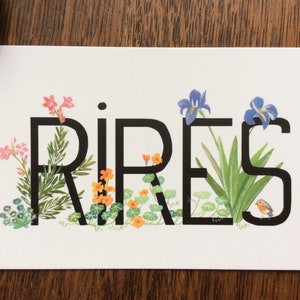 Carte postale «RIRES »