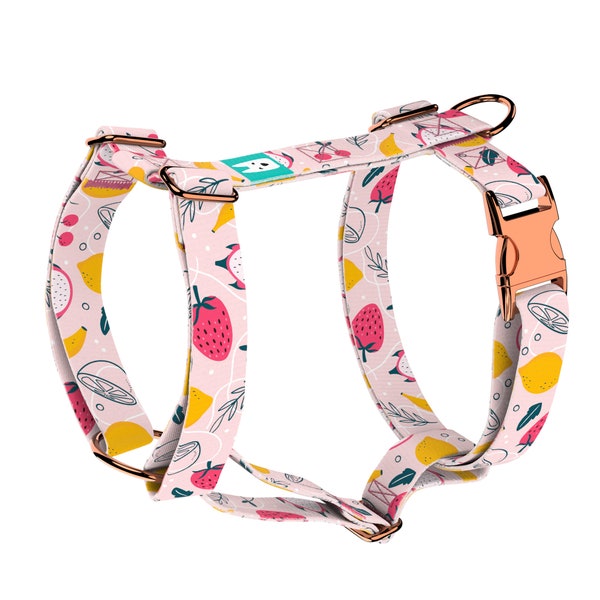 Dog Harness or Cat Harness with Matching Leash (optional) - Summer Fruits - april & june